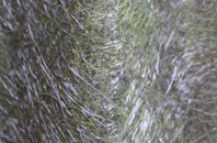 Stanton Gate fibreglass roof work